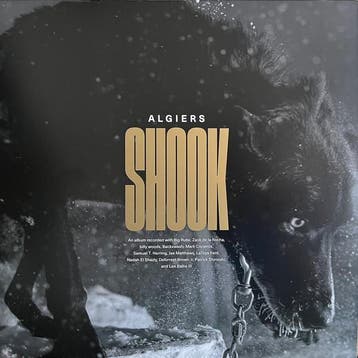 LP nieuw - Algiers - Shook, Verzenden, Nieuw in verpakking