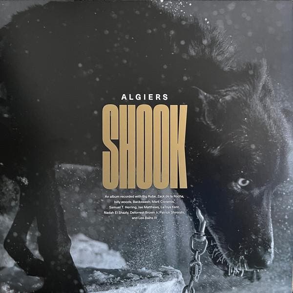 LP nieuw - Algiers - Shook, Cd's en Dvd's, Vinyl | Rock, Nieuw in verpakking, Verzenden