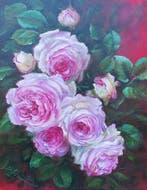 Silvana Pasini - Rose rosa, Antiek en Kunst, Kunst | Schilderijen | Modern