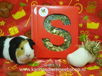 De SINTERKLAAS SHOP voor je cavia , konijn en baasjes, Dieren en Toebehoren, Ophalen of Verzenden, Nieuw, Overige typen