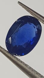1 pcs Blauw Saffier - 1.04 ct - Antwerp Laboratory for, Sieraden, Tassen en Uiterlijk, Edelstenen, Nieuw