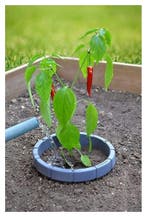 Planten ring - Tegen uitdroging - Ø 21 cm - Water sparend, Ophalen of Verzenden, Nieuw