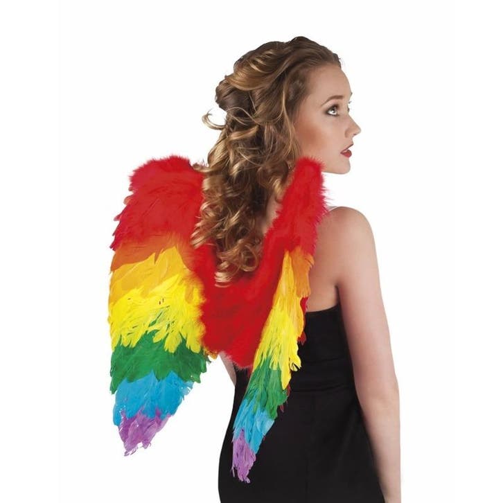 Regenboog verkleed vleugels voor volwassenen 50 cm - Vleug.., Hobby en Vrije tijd, Feestartikelen, Ophalen of Verzenden