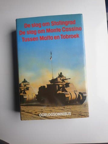 Oorlogsomnibus: De slag om Stalingrad / De slag om Monte, Verzenden, Zo goed als nieuw, Lutter