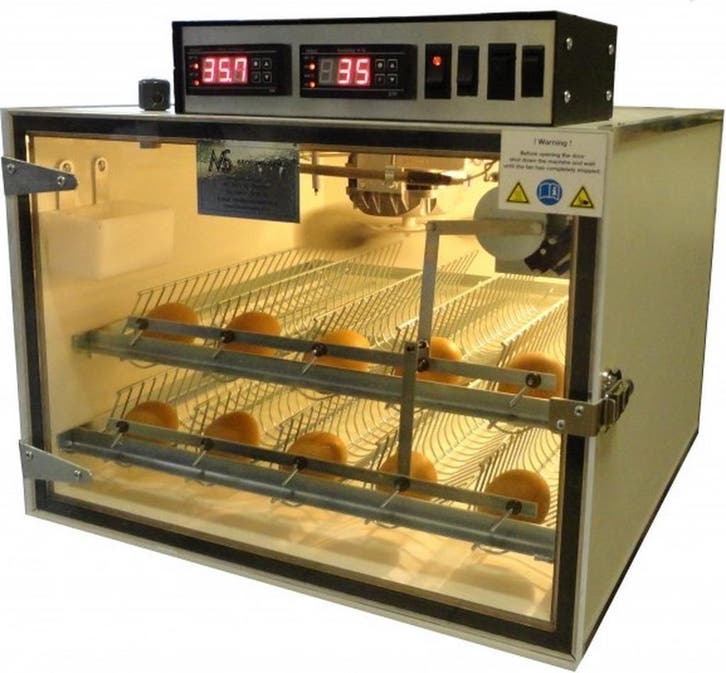 MS Broedmachines | Direct leverbaar | Vanaf €439, Dieren en Toebehoren, Pluimvee | Toebehoren, Nieuw, Broedmachine, Ophalen of Verzenden