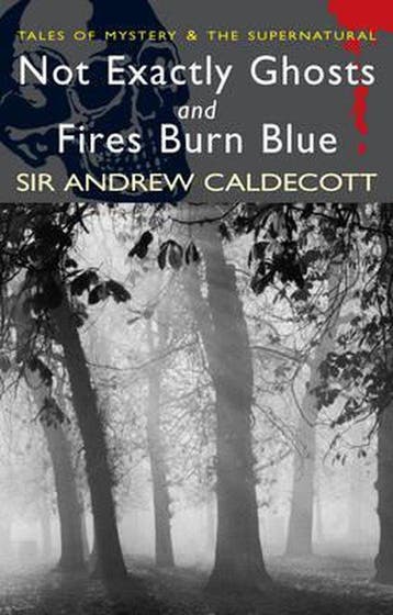 Not Exactly Ghosts - Sir Andrew Caldecott 9781840225495, Verzenden, Gelezen, Sir Andrew Caldecott