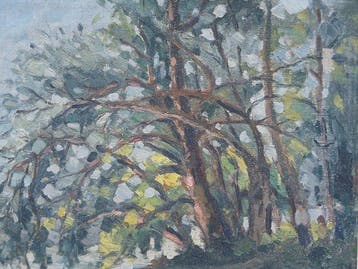 André Gillet (1926) - Bomen in de zon - Cote dAzur?