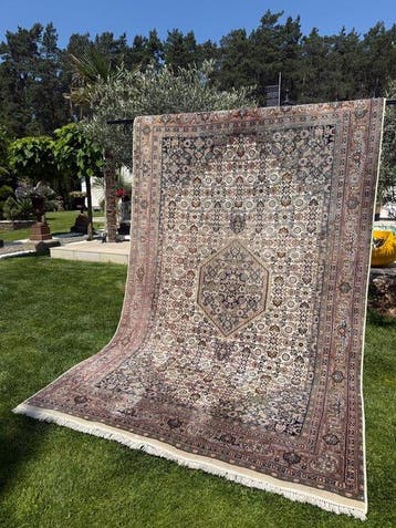 Indo Bidjar Tapijt - Tapijt - 315 cm - 195 cm, Nieuw