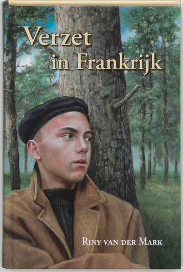 VERZET IN FRANKRIJK - R. van der Mark 9789033118739, Verzenden, Gelezen, R. van der Mark