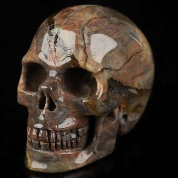 Wereldzeldzaamheid 76 g 5.00 x 3.70 cm AA Dinosaurus Gembone