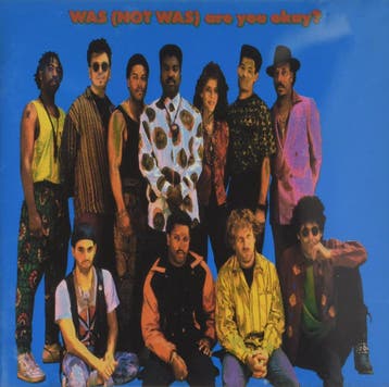 cd - Was (Not Was) - Are You Okay?, Verzenden, Zo goed als nieuw