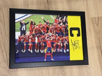 España - Voetbal Europees kampioenschap - Luis de la Fuente, Nieuw