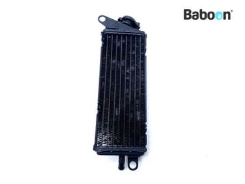 Radiateur Yamaha DT 125 R 1991-1998 (DT125 4BL), Motoren, Verzenden, Gebruikt