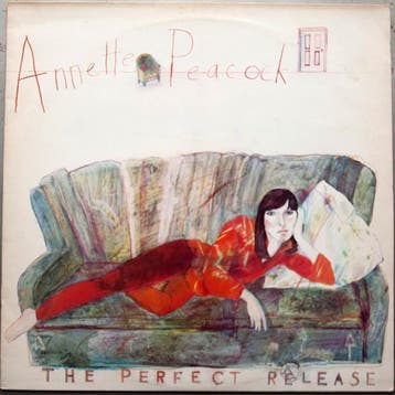 Annette Peacock - The Perfect Release, Ophalen of Verzenden, Zo goed als nieuw