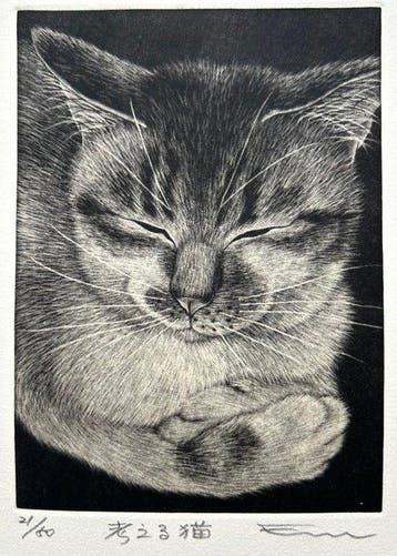 Thinking Cat  - signed numbered by the artist 21/50 -