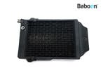 Radiateur Kawasaki VN 750 Vulcan (VN750 VN750A), Motoren, Verzenden, Gebruikt