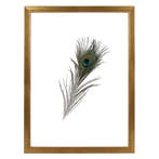 Fotolijst Dubbelglas 20x30 Tropez, Nieuw