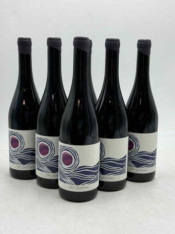 2023 Sophie & Clement Maire-Kurdziel Les Justices AOP Chinon, Nieuw