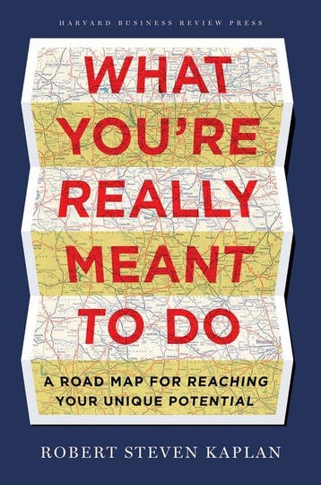 What Youre Really Meant to Do - Robert S Kaplan, Boeken, Verzenden, Zo goed als nieuw, Robert S Kaplan