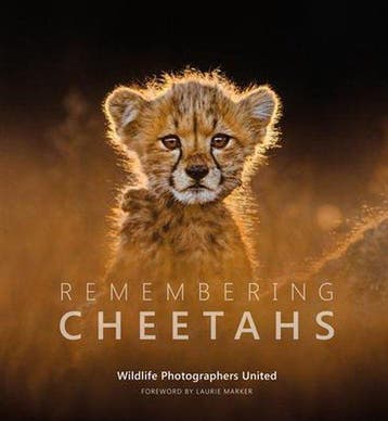 9781999643331 Remembering Cheetahs Margot Raggett, Boeken, Verzenden, Nieuw, Margot Raggett