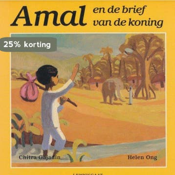 AMAL EN DE BRIEF VAN DE KONING - C. Gajadin 9789060698013, Verzenden, Gelezen, C. Gajadin