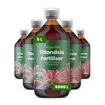 Tillandsia Vloeibare meststof - Set 5x1 liter, Verzenden, Mest