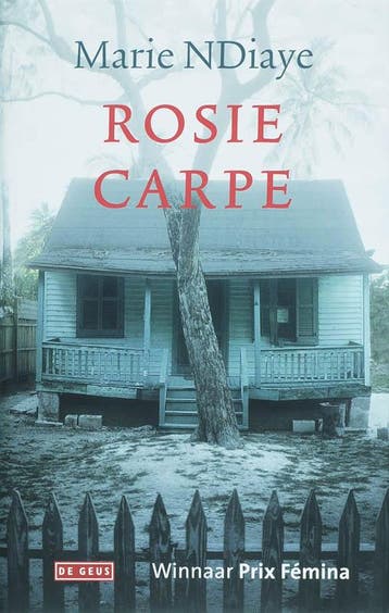 Rosie Carpe - M. NDiaye 9789044507645, Boeken, Verzenden, Gelezen, M. NDiaye