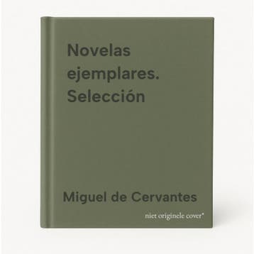 Novelas ejemplares. Selección - Miguel de Cervantes, Verzenden, Gelezen, Miguel de Cervantes
