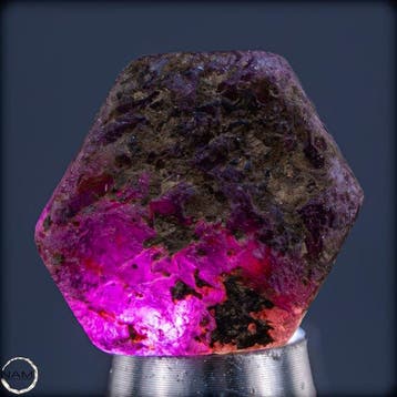 Natuurlijke zeldzame Padparadscha-saffier – Ruw kristal met, Verzamelen