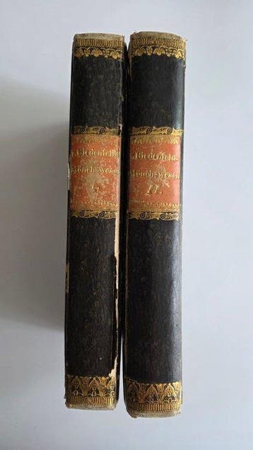 Ferdinand Freiherr von Biedenfeld - Ursprung, Aufleben,