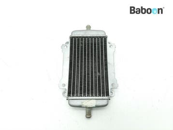 Radiateur Piaggio | Vespa GTS 300 2009-2013 (GTS300, Motoren, Onderdelen | Overige, Verzenden, Gebruikt