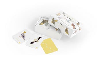 Roofvogels En Uilen Memospel | Elwin Kolk | Nieuw, Ophalen of Verzenden, Nieuw, Elwin Kolk