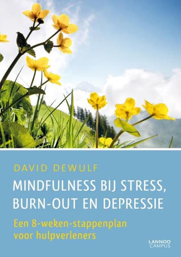Mindfulness bij stress, burn-out en depressie 9789401427111, Boeken, Verzenden, Gelezen, David Dewulf