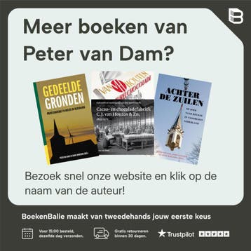 N.P de Koo (1881-1960) - Peter van Dam 9789074009539, Boeken, Verzenden, Gelezen, Peter van Dam