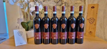 2023 Paolo magi, Vion - Toscane DOC - Fles (0,75 liter), Nieuw