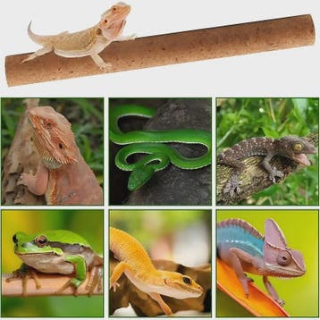 Natuurlijke Houten Klimtak voor Reptielen - Terrarium Decora