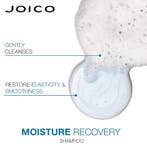 Joico Moisture Recovery Shampoo 1000ml, Sieraden, Tassen en Uiterlijk, Uiterlijk | Haarverzorging, Ophalen of Verzenden, Nieuw
