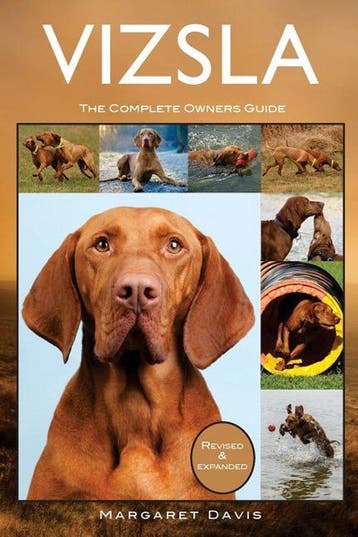 Vizsla 9781910915127 Margaret Davis, Verzenden, Gelezen, Margaret Davis
