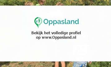 Sascha en Berend zoekt een oppas in Groningen voor 3 kind..., Vacatures