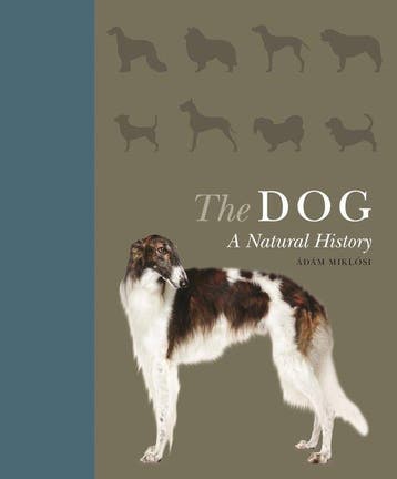 The Dog - Adam Miklosi 9780691176932, Verzenden, Gelezen, Adam Miklosi