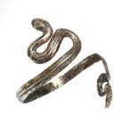 Het oude Egypte, Grieks-Romeinse periode Zilver