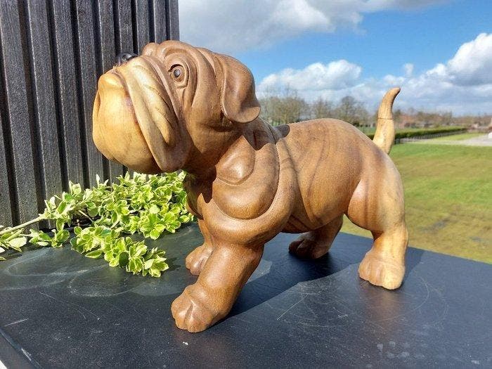 Beeld, pub engelse buldog - 32 cm - Teak, Antiek en Kunst, Curiosa en Brocante