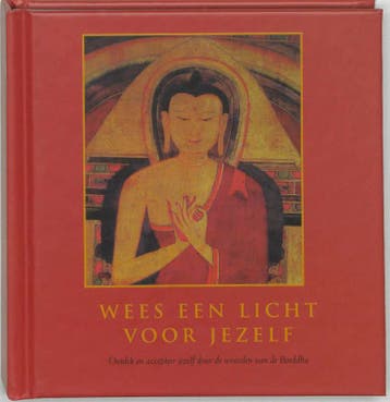 WEES EEN LICHT VOOR JEZELF - P. Hemenway 9789045303505, Boeken, Verzenden, Zo goed als nieuw, P. Hemenway