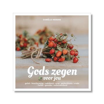 Gods Zegen Voor Jou - Daniëlle Heerens - Daniëlle Heerens, Verzenden, Zo goed als nieuw, Daniëlle Heerens