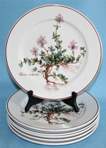 Villeroy & Boch - Botanica - Ontbijtbord (6) - Vitro