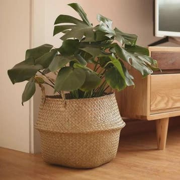 Handgeweven Zeegras Mand met Handvatten - Decoratieve Opberg, Verzenden, Nieuw
