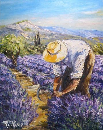 R. Vincent (1954) - Les lavandes en Provence cote dAzur