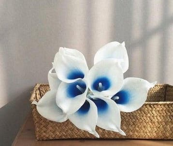 Calla Real Touch White Blue Core 7 cm 37 cm lang per stuk, Ophalen of Verzenden, Nieuw
