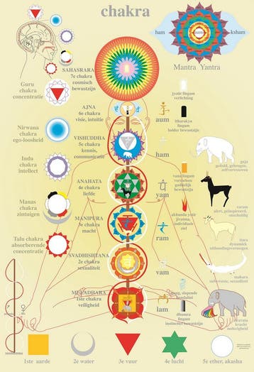 Anatomie poster chakras (Nederlands, gelamineerd, A2) +..., Nieuw