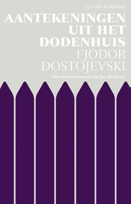 9789020414806 L.J. Veen klassiek - Aantekeningen uit het ..., Boeken, Romans, Nieuw, Verzenden